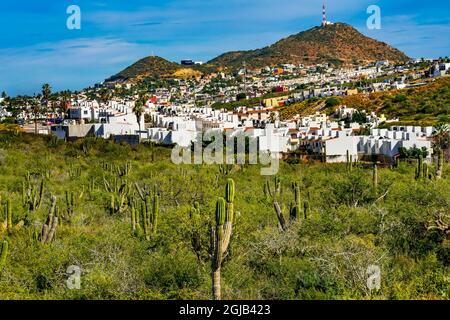 Village mexicain, Sonoran Desert Shrubland à Cabo San Lucas, Mexique. Banque D'Images