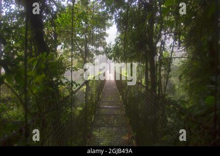 Costa Rica, Arenal. Pont suspendu de la forêt tropicale Arenal (Mistico). Banque D'Images