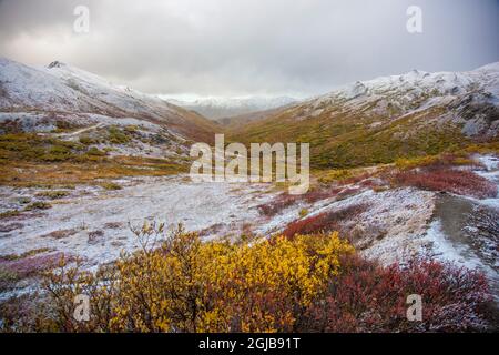 États-Unis, Alaska. Les couleurs de l'automne dans le parc national Denali avec de la neige dépoussiérant le paysage au col Polychrome. Banque D'Images