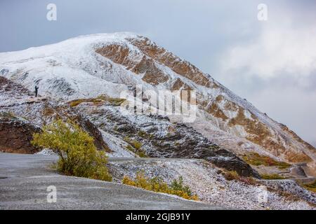 États-Unis, Alaska. Les couleurs de l'automne dans le parc national Denali avec de la neige dépoussiérant le paysage au col Polychrome. Banque D'Images