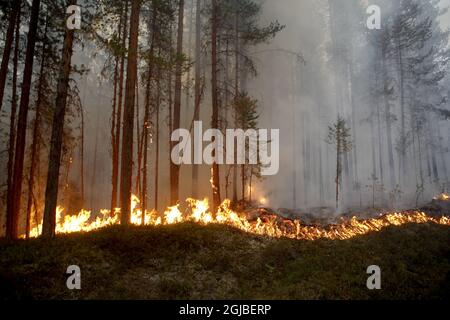 Wildfire à Karbole, à l'extérieur de Ljusdal, en Suède, le dimanche 15 juillet 2018. Un des 80 incendies de forêt en Suède en raison du temps sec. Photo: Tapis Andersson / TT / Kod 62210 Banque D'Images