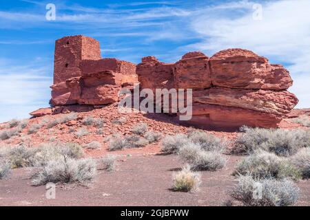 États-Unis, Arizona. Vue sur l'ancienne demeure du monument national de Wupatki. Banque D'Images