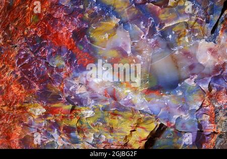 Vue en coupe d'une bûche pétrifiée dans la forêt de Crystal, parc national de la forêt pétrifiée, Arizona, États-Unis. Banque D'Images