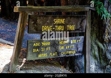 États-Unis, Californie. Humboldt Redwoods State Park, panneau Shrine Drive-through Redwood Banque D'Images