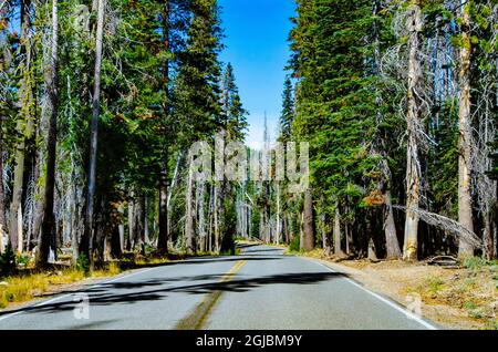 États-Unis, Californie. Lassen Volcanic National Park Highway à Hot Rocks Banque D'Images