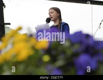 Greta Thunberg, activiste climatique suédois, intervient sur scène dans le parc Kungstradarden lors de la manifestation Global Strike for future à Stockholm, Suède, le 24 mai 2019. Photo: Janerik Henriksson / TT Kod 10010 Banque D'Images