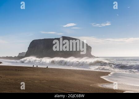 Grande roche de haystack avec des vagues et des oiseaux écrasant sur la plage en Californie Banque D'Images