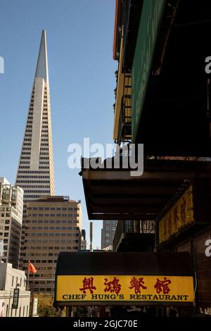 Transamerica Pyramid Centre. Vu de Chinatown. San Francisco. Banque D'Images