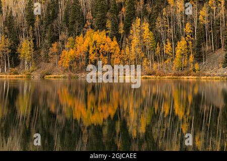 Les arbres Aspen se reflètent à l'automne sur le lac Crystal au lever du soleil, dans la forêt nationale d'Uncompahgre, près d'Ouray, Colorado. Banque D'Images