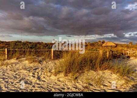 Bowman's Beach sur Sanibel Island, Floride, États-Unis. Banque D'Images