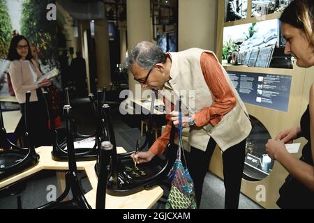 STOCKHOLM 20191206 Prix Nobel d'économie Abhijit Banerjee et Esther Duflo Esther, prix Nobel d'économie signent des chaires au Musée Nobel de Stockholm, Suède, le 06 décembre 2019. Photo: Henrik Montgomery / TT Kod 10060 Banque D'Images