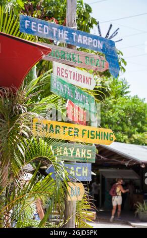 Robbie's d'Islamorada dans les Florida Keys. Banque D'Images