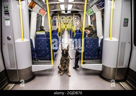 Jenny Lindahl et son chien Rex sont presque seuls dans la voiture de métro à Stockholm, en Suède, le 23 mars 2020, pendant la pandémie du coronavirus. Photo: Pontus Orre / Aftonbladet / TT code 2512 Banque D'Images