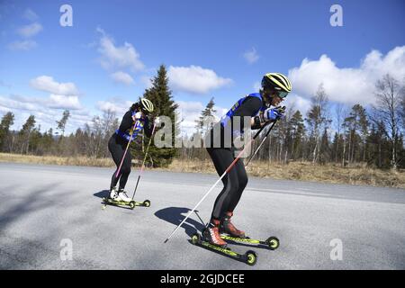 Stina Nilsson et l'équipe suédoise de biathlon s'entraîner sur des skis à roulettes à Ostersund, en Suède, le 12 mai 2020. Photo: Pontus Lundahl / TT code 10050 Banque D'Images