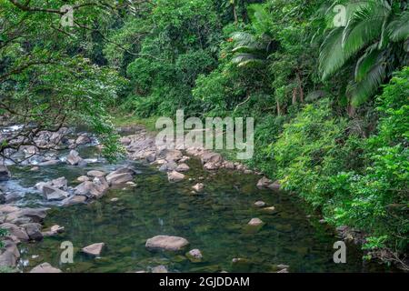 États-Unis, Hawaï, Big Island d'Hawaï. Hamakua Coast, Ka Wainui Stream parcours lentement à travers la forêt tropicale, Old Mamalahoa Highway. Banque D'Images