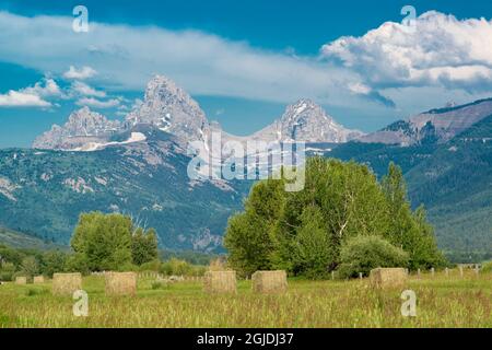 Balles de foin et Grand Teton de Driggs, Idaho Banque D'Images