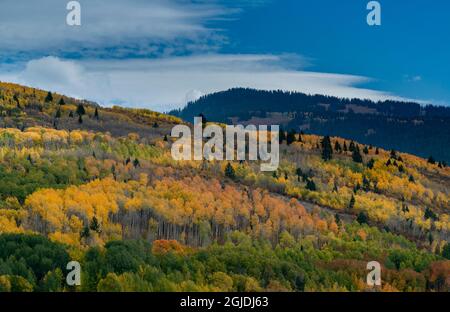 Paysage de feuillage d'automne coloré près de Jackson Hole, Wyoming et Driggs, Idaho Banque D'Images