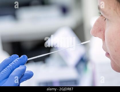 Test rapide de l'antigène COVID-19 (COV-SRAS-2) en microbiologie clinique au SUS (Hôpital universitaire de Skane) à Lund. Le test est effectué par des professionnels de la santé qui prennent un échantillon à l'arrière de la paroi nasale à l'aide d'un écouvillon. L'échantillon est ensuite placé dans un tube à essai avec du liquide. Le résultat du test est prêt en 15 minutes environ. Photo: Johan Nilsson / TT / Code 50090 Banque D'Images