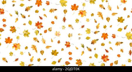 Motif sans couture feuillage d'automne coloré et lumineux isolé sur fond blanc. Motif graphique symbole d'automne. Rouge orange jaune feuilles d'automne sèches. Réglage Illustration de Vecteur