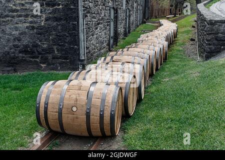 Ligne de barils de bourbon, distillerie Woodford Reserve, Versailles, Kentucky. (Usage éditorial uniquement) Banque D'Images