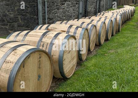 Ligne de barils de bourbon, distillerie Woodford Reserve, Versailles, Kentucky. (Usage éditorial uniquement) Banque D'Images