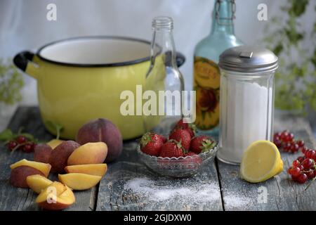 Fraises, pêches, citron et sucre pour faire de la limonade maison photo: Janerik Henriksson / TT / code 10010 Banque D'Images