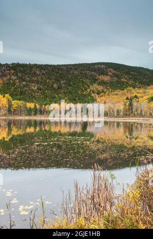 États-Unis, Maine, Mt. Desert Island. Parc national Acadia, reflet du feuillage par Kebo Mountain. Banque D'Images