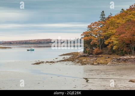 États-Unis, Maine Mountainville. Automne sur Penobscot Bay. Banque D'Images