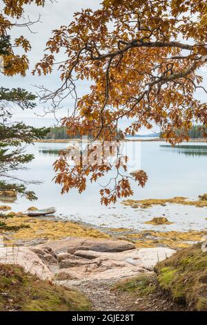 États-Unis, Maine Mountainville. Automne sur Penobscot Bay. Banque D'Images