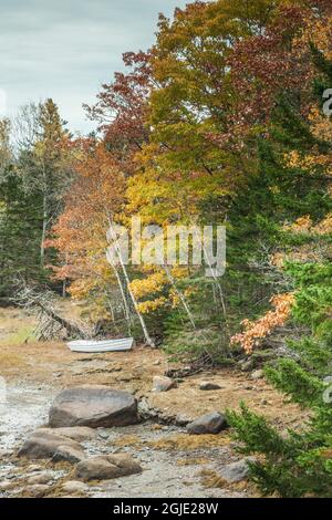 États-Unis, Maine Mountainville. Automne sur Penobscot Bay. Banque D'Images