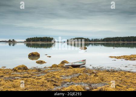 États-Unis, Maine Mountainville. Automne sur Penobscot Bay. Banque D'Images