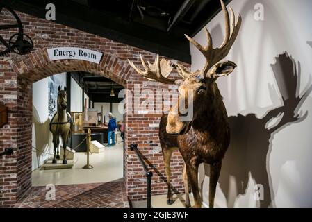 USA (Maine), Owls Head, Owls Head Transportation Museum, l'orignal en peluche Banque D'Images