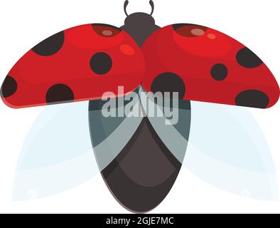 Vecteur de dessin animé d'icône de coccinelle volante. Coccinelle. Insecte ressort Illustration de Vecteur