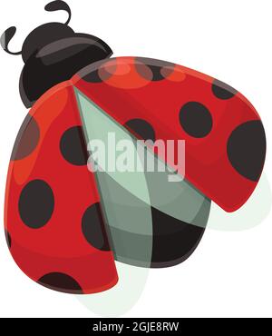 Vecteur de dessin animé de l'icône de coccinelle volante. Coccinelle d'insecte. Coléoptère de jardin Illustration de Vecteur