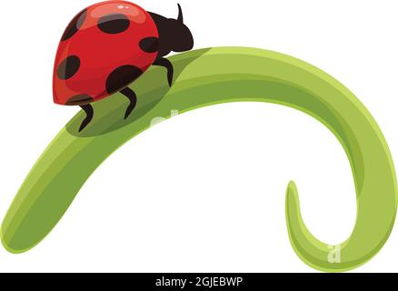 Arbre coccinelle icône vecteur de dessin animé. Insecte floral. Insecte de la forêt Illustration de Vecteur