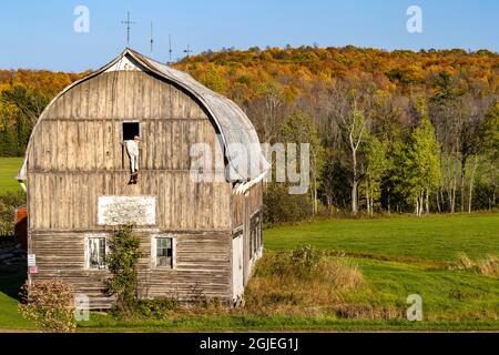 Grange rustique avec couleur d'automne près de Bruce Crossing, Michigan, États-Unis Banque D'Images