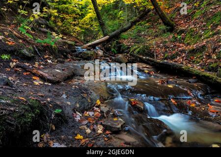 Wagner Falls en automne près de Munising, Michigan, États-Unis Banque D'Images