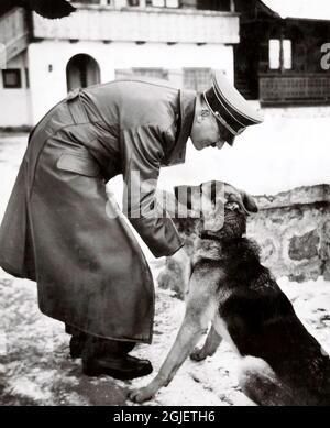 Adolf Hitler (1889-1945) avec son chien, vers 1939/40. La photo est prise de l'album photo d'Eva Braun. Banque D'Images