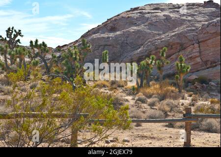 États-Unis, Nevada, Mesquite. Gold Butte National Monument, Falling Man Petroglyph parking. Banque D'Images