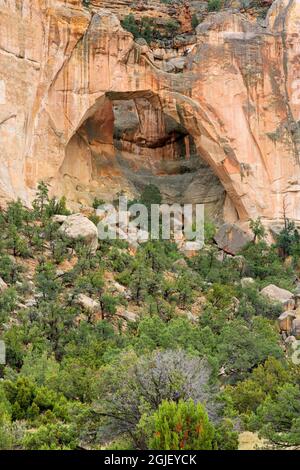 États-Unis, Nouveau-Mexique. Aire nationale de conservation El Malpais, la Ventana Arch, composée de grès Zuni, au-dessus du pin et de la forêt de genévriers. Banque D'Images