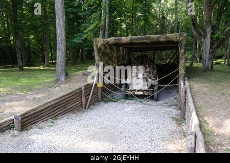 Ketrzyn, Gierlz, Pologne - 19 juillet 2021 : le Lair du Loup (Wilczy Szaniec, Wolfsschanze) construit par l'Organisation Todt. Le siège d'Adolf Hitler Banque D'Images