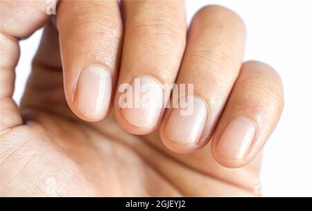 Petits lunulae ou demi-lunes aux ongles avec lignes longitudinales du jeune homme chinois d'Asie du Sud-est. Isolé sur fond blanc. Banque D'Images