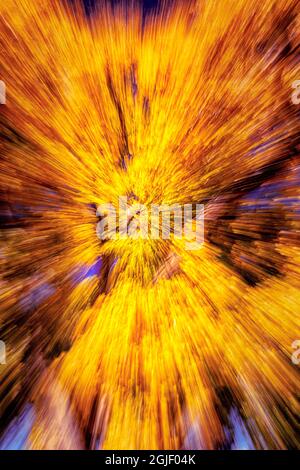 Résumé. Couleurs d'automne au Nouveau-Mexique, États-Unis. Banque D'Images