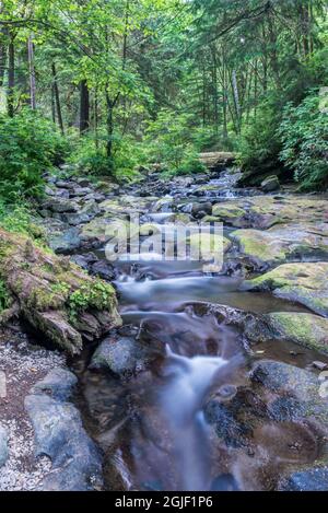 États-Unis, Oregon. Oswald West State Park, Necarney Creek. Banque D'Images
