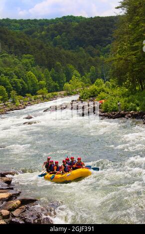 Rafting en eau vive sur la rivière Ocoee à Ducktown, Tennessee, États-Unis. Banque D'Images