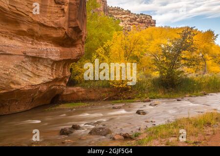 États-Unis, Utah, parc national de Capitol Reef. Rivière Fremont et arbres en automne. Crédit : Cathy & Gordon Illg / Jaynes Gallery / DanitaDelimont.com Banque D'Images