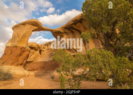États-Unis, Utah, Grand Staircase-Escalante National Monument. Metate Arch dans les formations rocheuses Devil's Garden. Credit AS : Cathy & Gordon Illg / Jaynes gal Banque D'Images