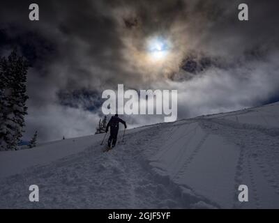 Skieur silhouetté grimpant pour la poudre, jour de Bluebird dans les montagnes près de Park City, Utah, États-Unis. Banque D'Images