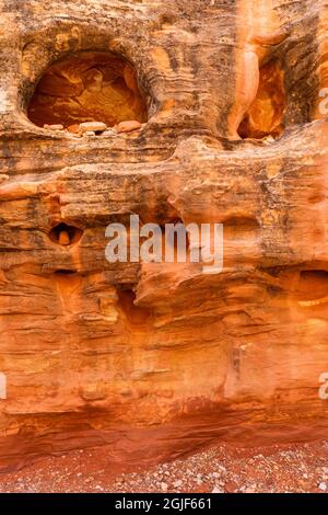 USA, Utah, Capitol Reef National Park, de nombreuses petites ouvertures appelées waterpockets sont visibles dans le murs de grès du Grand Washington. Banque D'Images