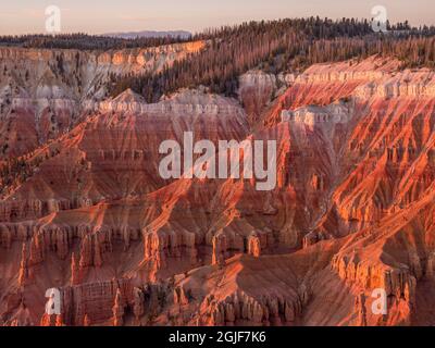 Formations rocheuses dans le canyon principal, monument national de Cedar Breaks, Utah Banque D'Images